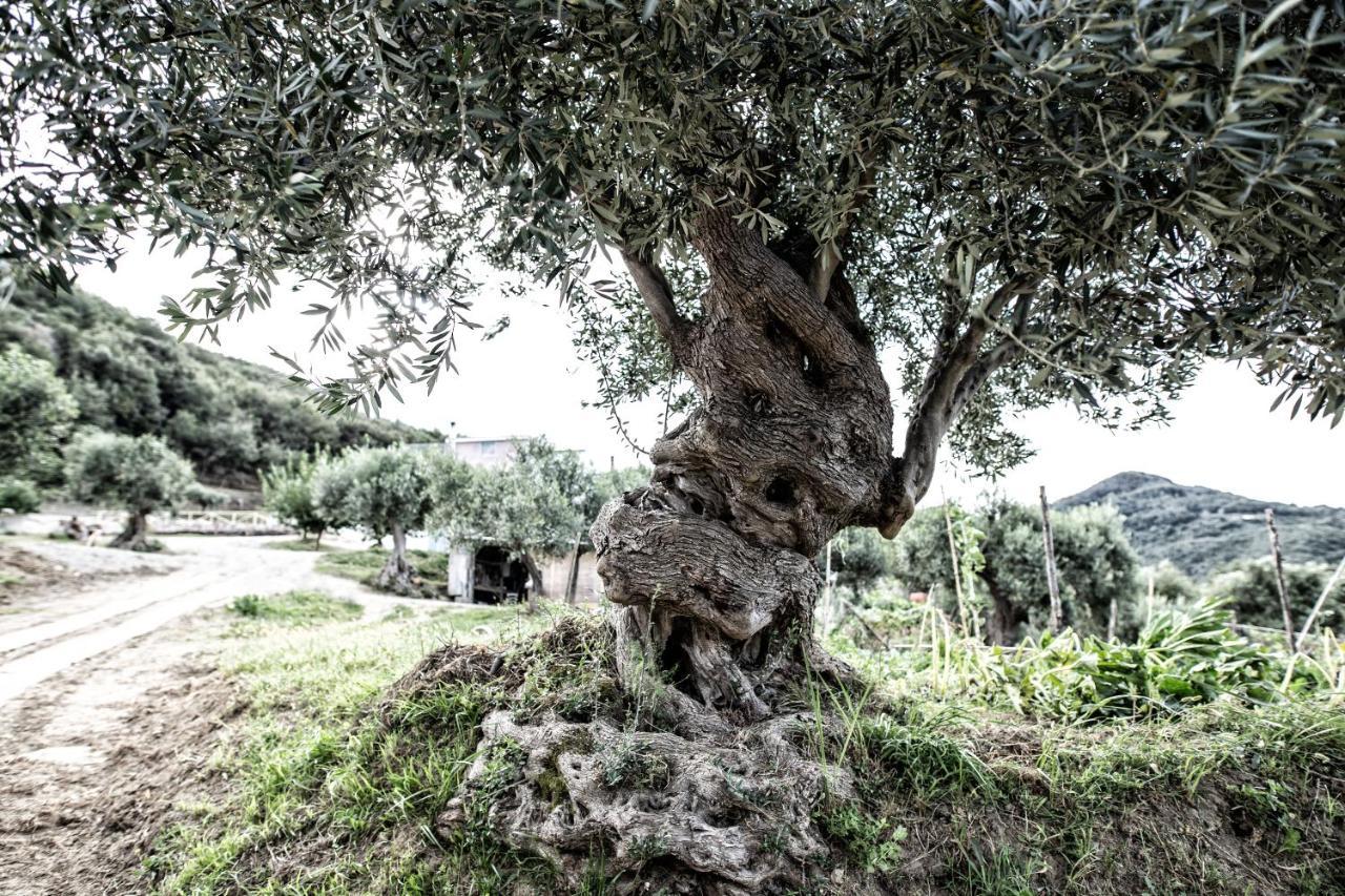 Borgo Rosso Di Sera Resort San Lucido Extérieur photo